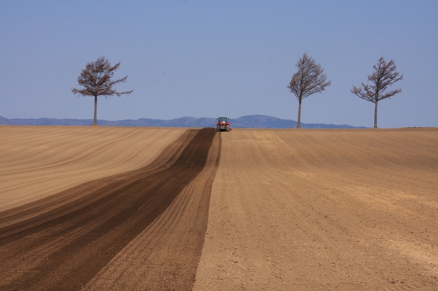 ファイル 62-3.jpg