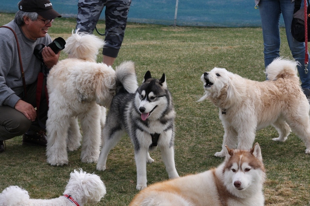 ファイル 63-1.jpg