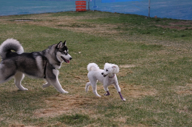 ファイル 63-2.jpg