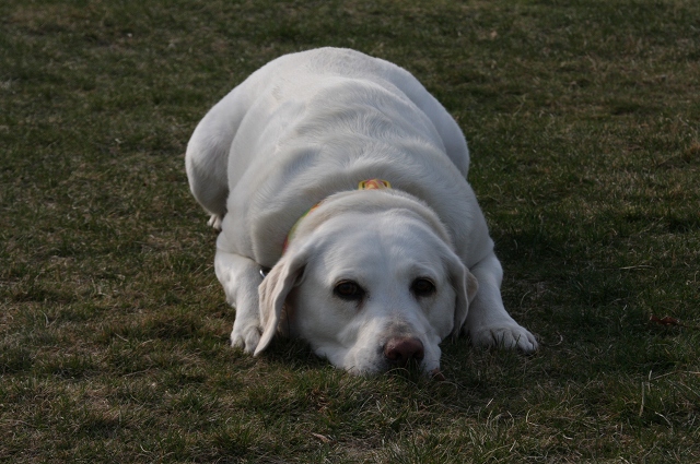 ファイル 63-4.jpg