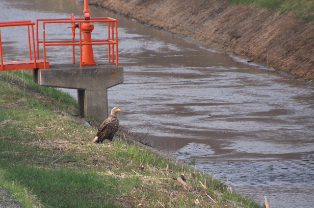 ファイル 63-6.jpg