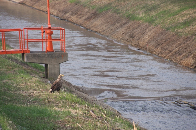 ファイル 63-7.jpg