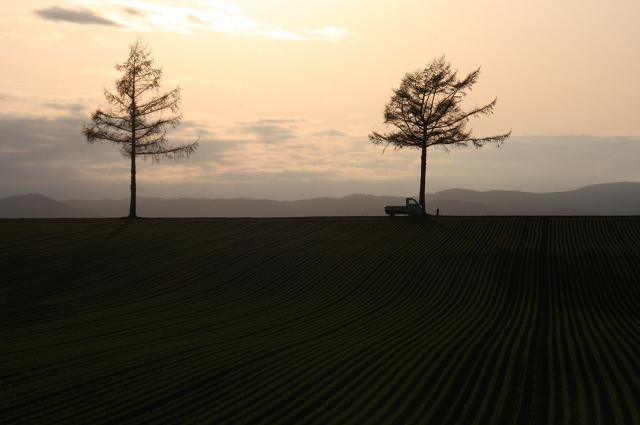 ファイル 68-3.jpg