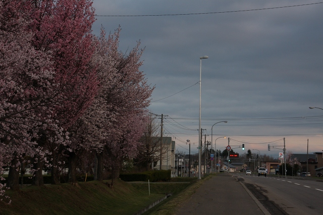 ファイル 68-5.jpg