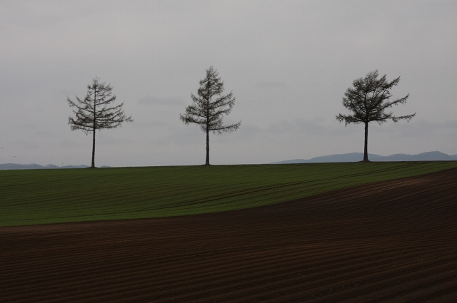 ファイル 68-6.jpg