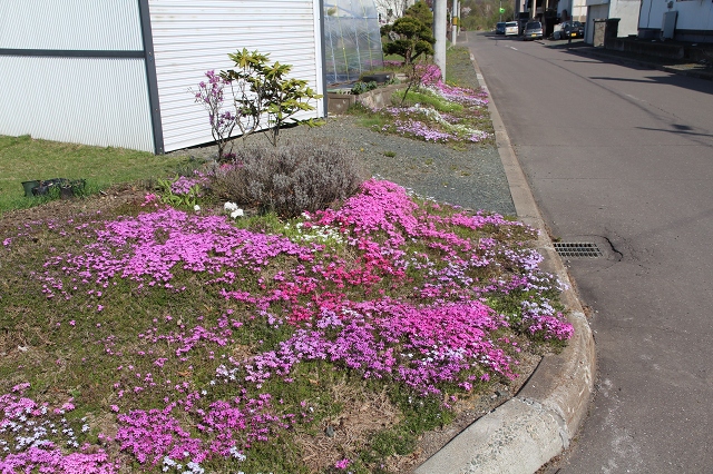 ファイル 68-8.jpg