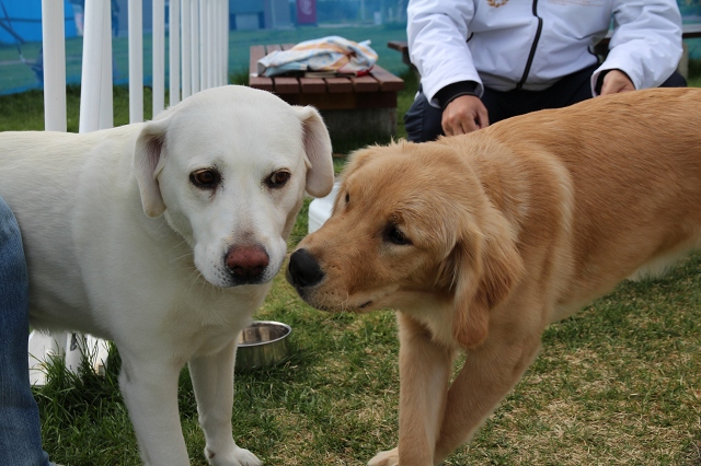 ファイル 69-2.jpg