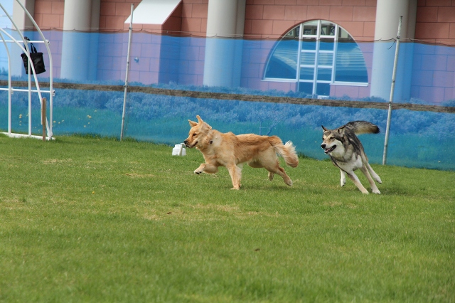 ファイル 69-7.jpg