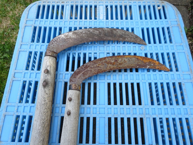 ファイル 71-2.jpg