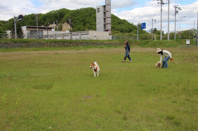 ファイル 73-6.jpg