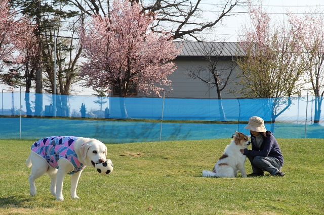 ファイル 75-2.jpg