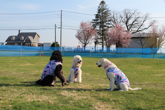 ファイル 75-3.jpg