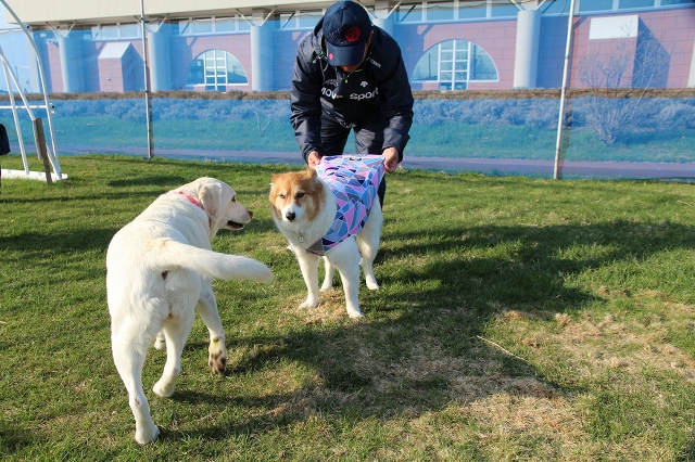 ファイル 75-4.jpg