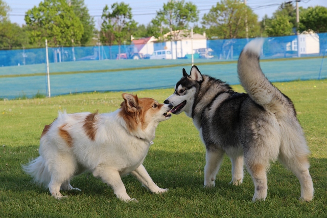 ファイル 75-7.jpg