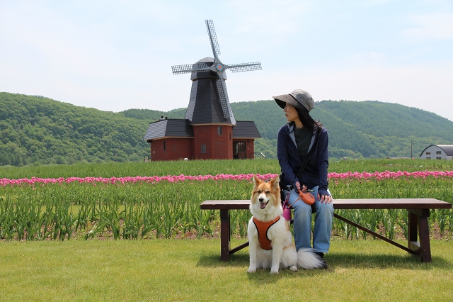 ファイル 76-1.jpg