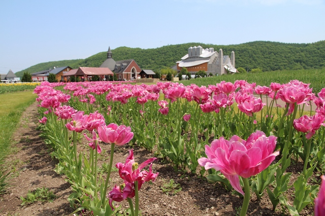 ファイル 76-2.jpg