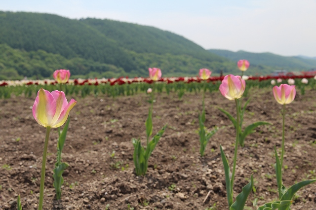 ファイル 76-6.jpg