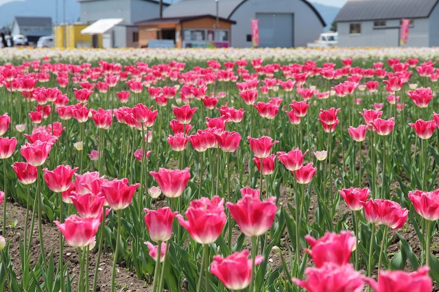 ファイル 76-9.jpg