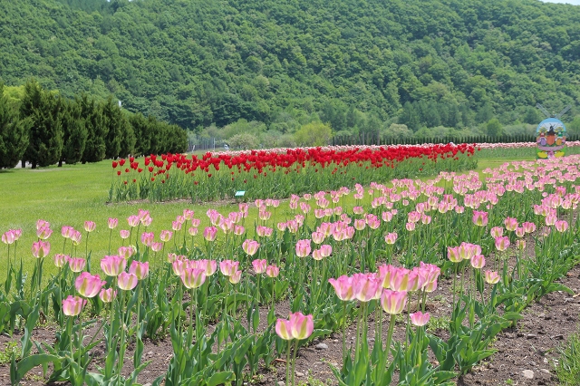 ファイル 77-5.jpg