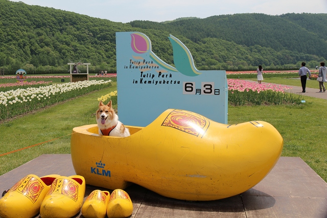 ファイル 77-6.jpg