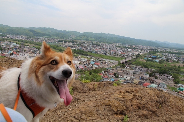 ファイル 78-5.jpg