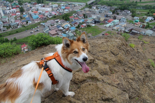 ファイル 78-8.jpg