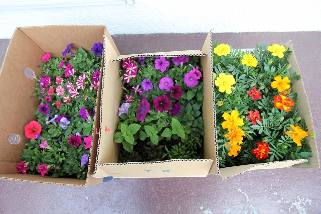 ファイル 79-2.jpg