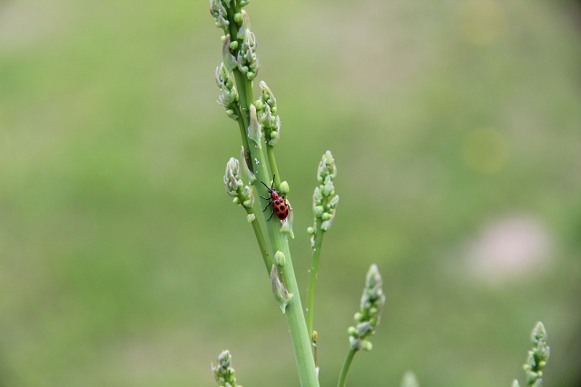 ファイル 79-4.jpg