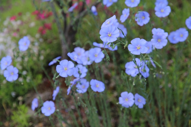 ファイル 79-6.jpg