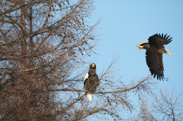 ファイル 8-5.jpg