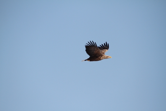 ファイル 8-6.jpg