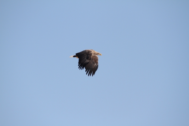 ファイル 8-7.jpg