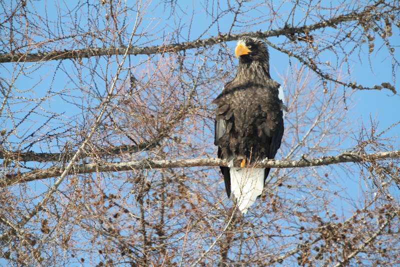 ファイル 8-8.jpg