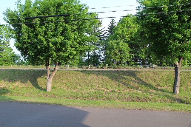 ファイル 80-1.jpg