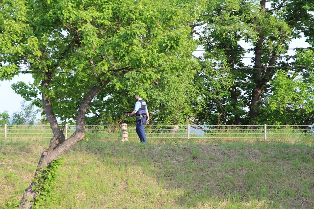 ファイル 80-2.jpg