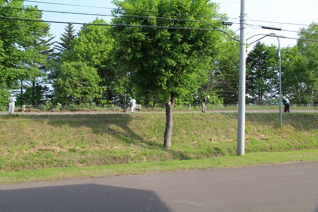 ファイル 80-7.jpg