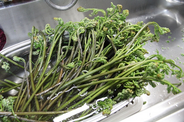 ファイル 80-8.jpg