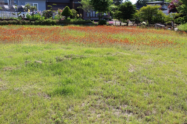 ファイル 88-3.jpg