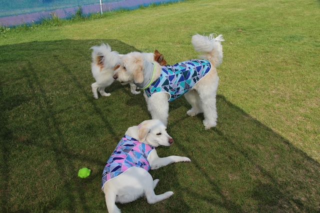 ファイル 88-8.jpg