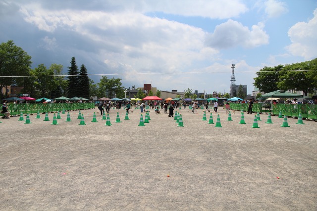 ファイル 89-2.jpg