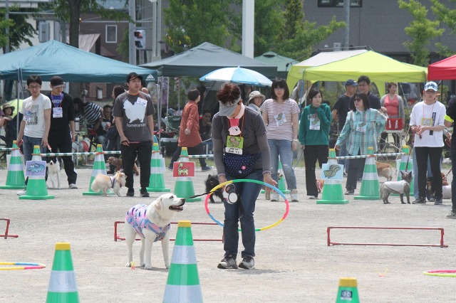 ファイル 89-5.jpg