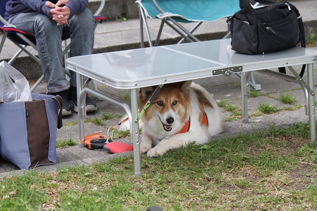 ファイル 89-6.jpg