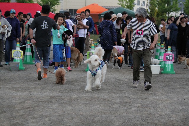 ファイル 89-7.jpg