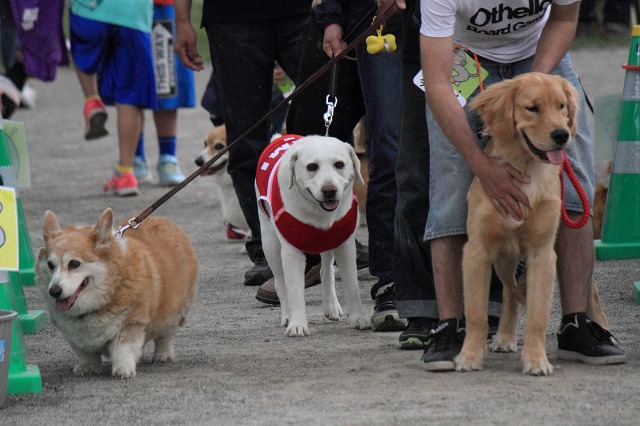 ファイル 89-8.jpg