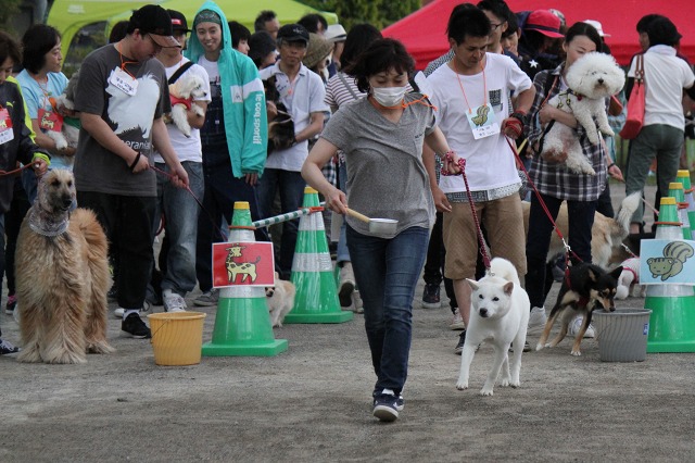 ファイル 89-9.jpg