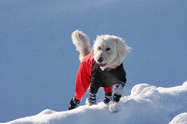 ファイル 9-7.jpg