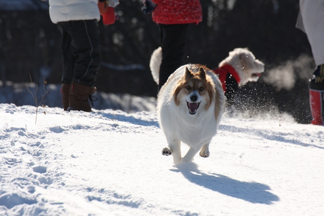 ファイル 9-8.jpg