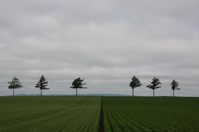 ファイル 90-8.jpg