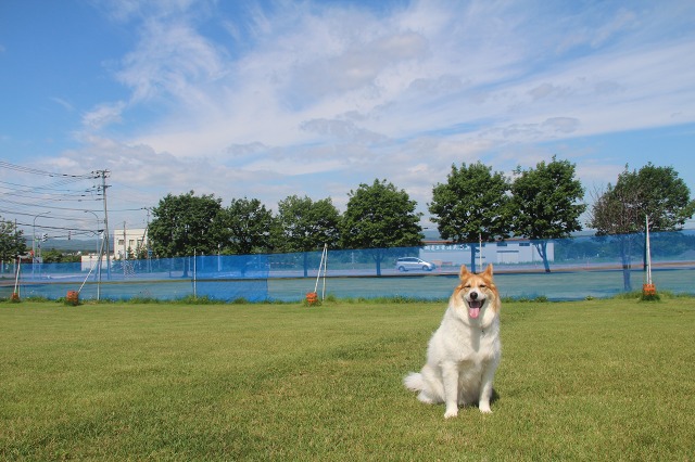 ファイル 91-1.jpg