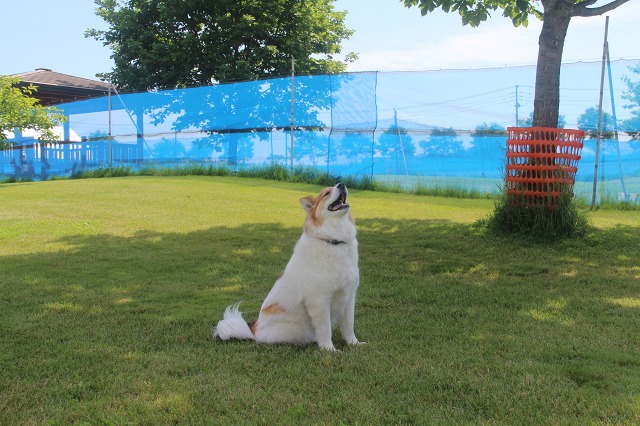 ファイル 91-2.jpg